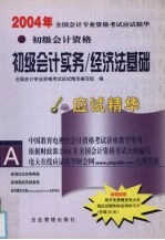 2004年全国会计专业资格考试应试精华  初级会计资格