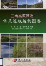 云南高原湖滨常见湿地植物图鉴