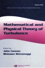 MATHEMATICAL AND PHYSICAL THEORY OF TURBULENCE