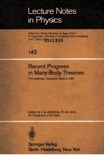 RECENT PROGRESS IN MANY-BODY THEORIES