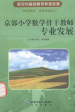 京郊小学数学骨干教师专业发展