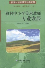 农村中小学美术教师专业发展