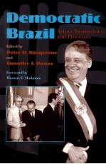 DEMOCRATIC BRAZIL ACTORS