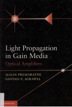 LIGHT PROPAGATION IN GAIN MEDIA OPTICAL AMPLIFIERS