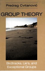 GROUP THEORY:BIRDTRACKS