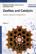 ZEOLITES AND CATALYSIS SYNTHESIS