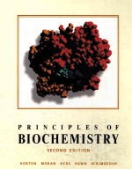 PRINCIPLES OF BIOCHEMISTRY SECOND EDITON