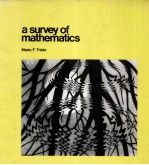 A SURVEY OF MATHEMATICS