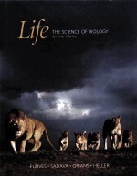 LIFE THE SCIENCE OF BIOLOGY SEVENTH EDITION