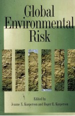 GLOBAL ENVIRONMENTAL RISK