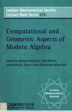 COMPUTATIONAL AND GEOMETRIC ASPECTS OF MODERN ALGEBRA