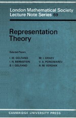 REPRESENTATION THEORY