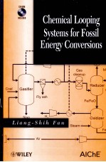 CHEMICAL LOOPING SYSTEMS FOR FOSSIL ENERGY CONVERSIONS