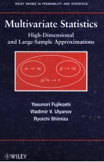 MULTIVARIATE STATISTICS HIGH-DIMENSIONAL AND LARGE-SAMPLE APPROXIMATIONS