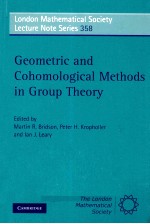 GEOMETRIC AND COHOMOLOGICAL METHODS IN GROUP THEORY