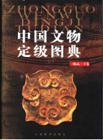 中国文物定级图典 一级品 下