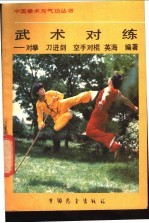 武术对练 对拳 刀进剑 空手对棍