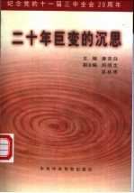 二十年巨变的沉思：纪念党的十一届三中全会二十周年