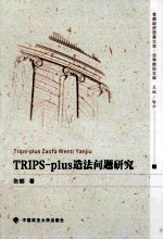 TRIPS-pLUS造法问题研究