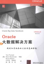 Oracle大数据解决方案