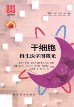 干细胞 再生医学的微光