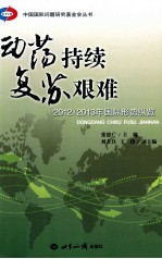 动荡持续 复苏艰难 2012/2013年国际形势纵览