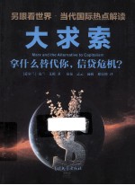 大求索 拿什么替代你，信贷危机？