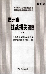 贵州省抗战损伤调查 下