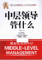 中层领导管什么 世界500强企业中层的管理心得！