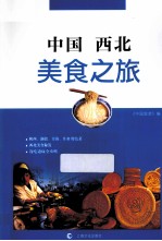 中国西北美食之旅