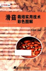 滑菇栽培实用技术彩色图解