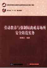 劳动教养与强制隔离戒毒场所安全防范实务