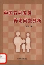 中国农村家庭养老问题分析