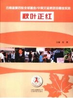 秋叶正红 云南省第四轮全球基金 中英艾滋病项目最佳实践