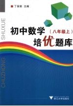 初中数学培优题库  八年级  上