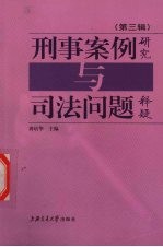 刑事案例研究与司法问题释疑 第3辑