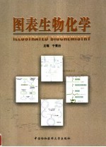 图表生物化学 Illustrated biochemistry eng