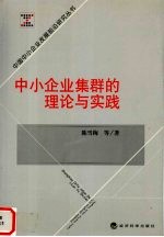 中小企业集群的理论与实践