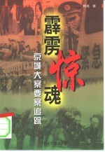 霹雳惊魂 京城大案要案追踪