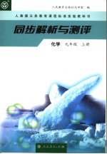 同步解析与测评  化学  九年级  上