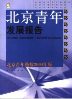 北京青年发展报告 北京青年指数2004年版