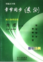 精编九年级章节同步练测 物理 上海科技版