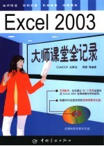 Excel 2003大师课堂全记录