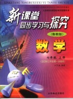 新课堂同步学习与探究 数学 七年级 上