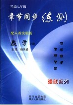 精编七年级章节同步练测 人教实验版 数学 上