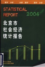 北京市社会经济统计报告 2004