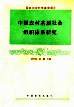 中国农村基层社会组织体系研究