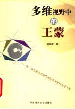 多维视野中的王蒙 第一届王蒙文学创作国际学术研讨会论文集