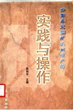 云南牟定铜矿关闭破产的实践与操作