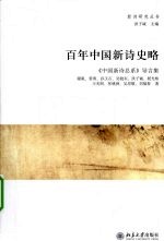 百年中国新诗史略  《中国新诗总系》导言集